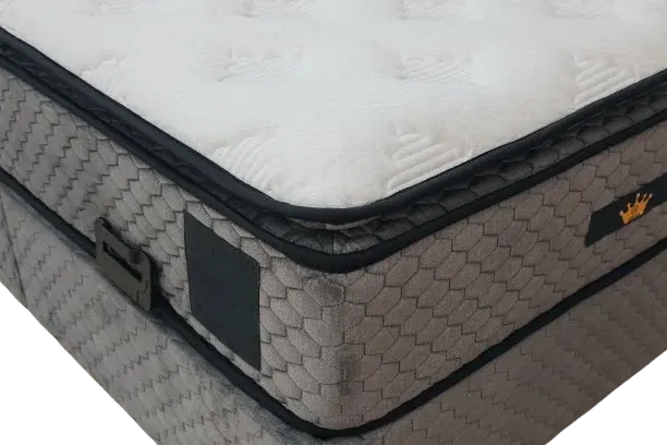 Nirvana Plus - Image 4